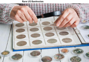 A Simple Guide for New Collectors Getting into Numismatics